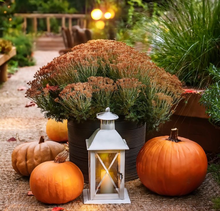 Cozy fall garden with DIY pumpkin planter and decorative lanterns.