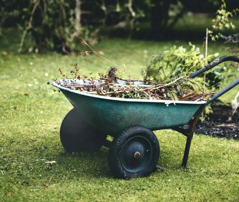 Gardening tools for fall cleanup – rakes, pruners, and compost bins.