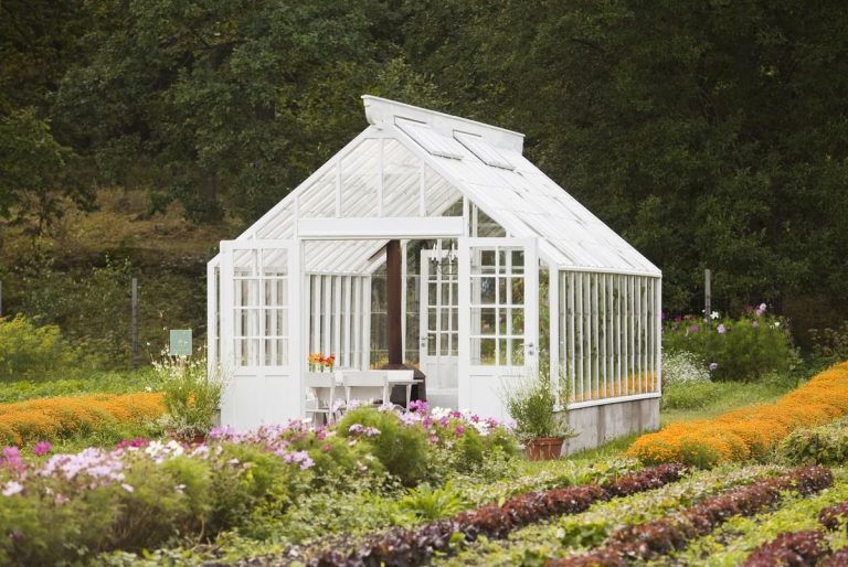 Beginner’s Guide to Building Your Own Greenhouse – Tips and Tools