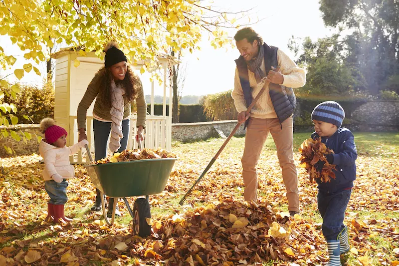 Fall garden maintenance tasks