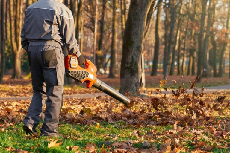 Lightweight leaf blower in action, Top-rated leaf blower 2024, Leaf blower easy to use.